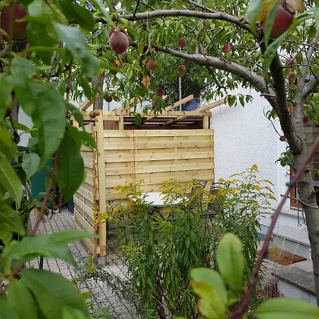 Ferienhaus Arnstadt 公寓 阿恩施塔特